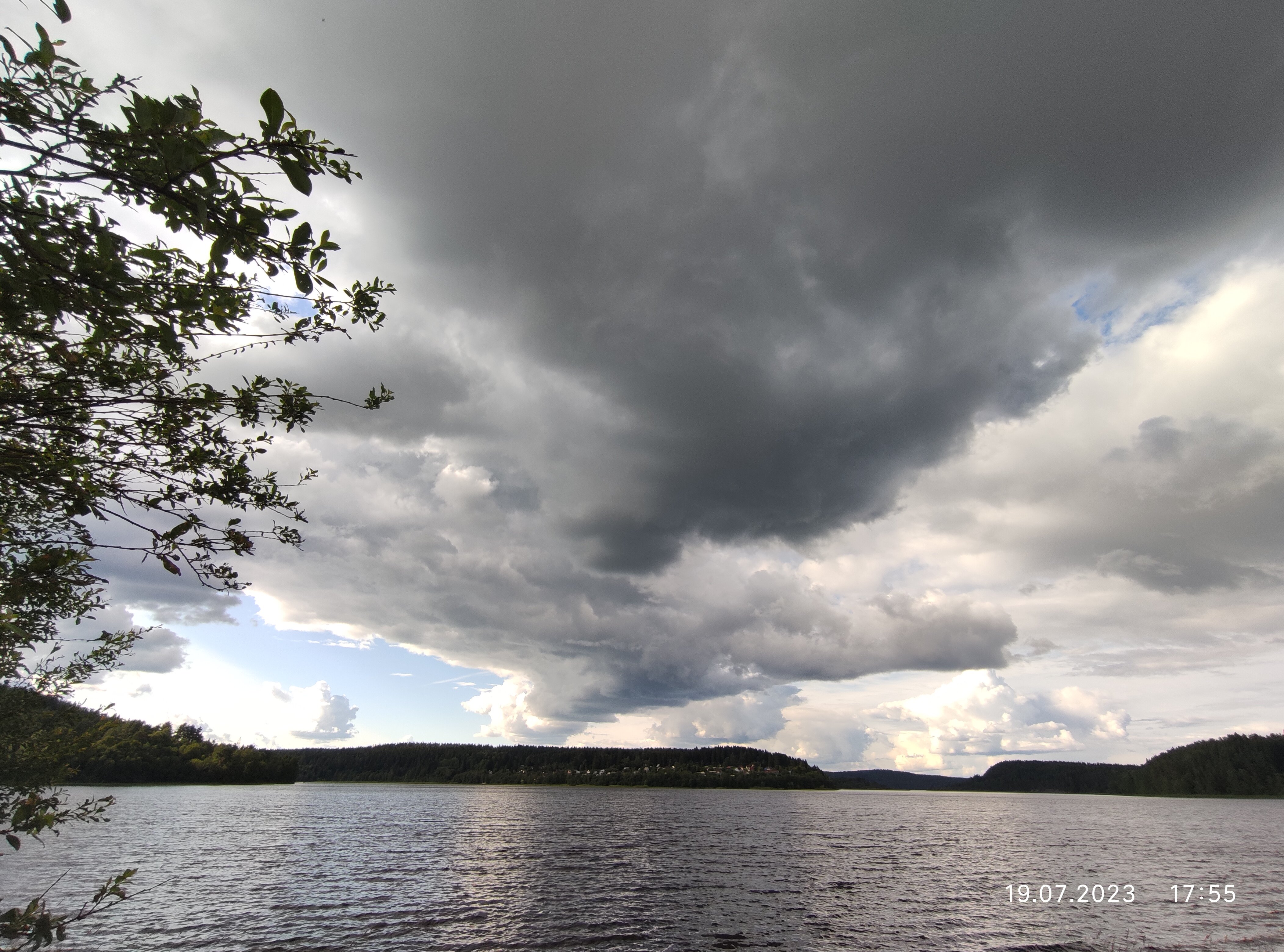 Фото Villi Honka