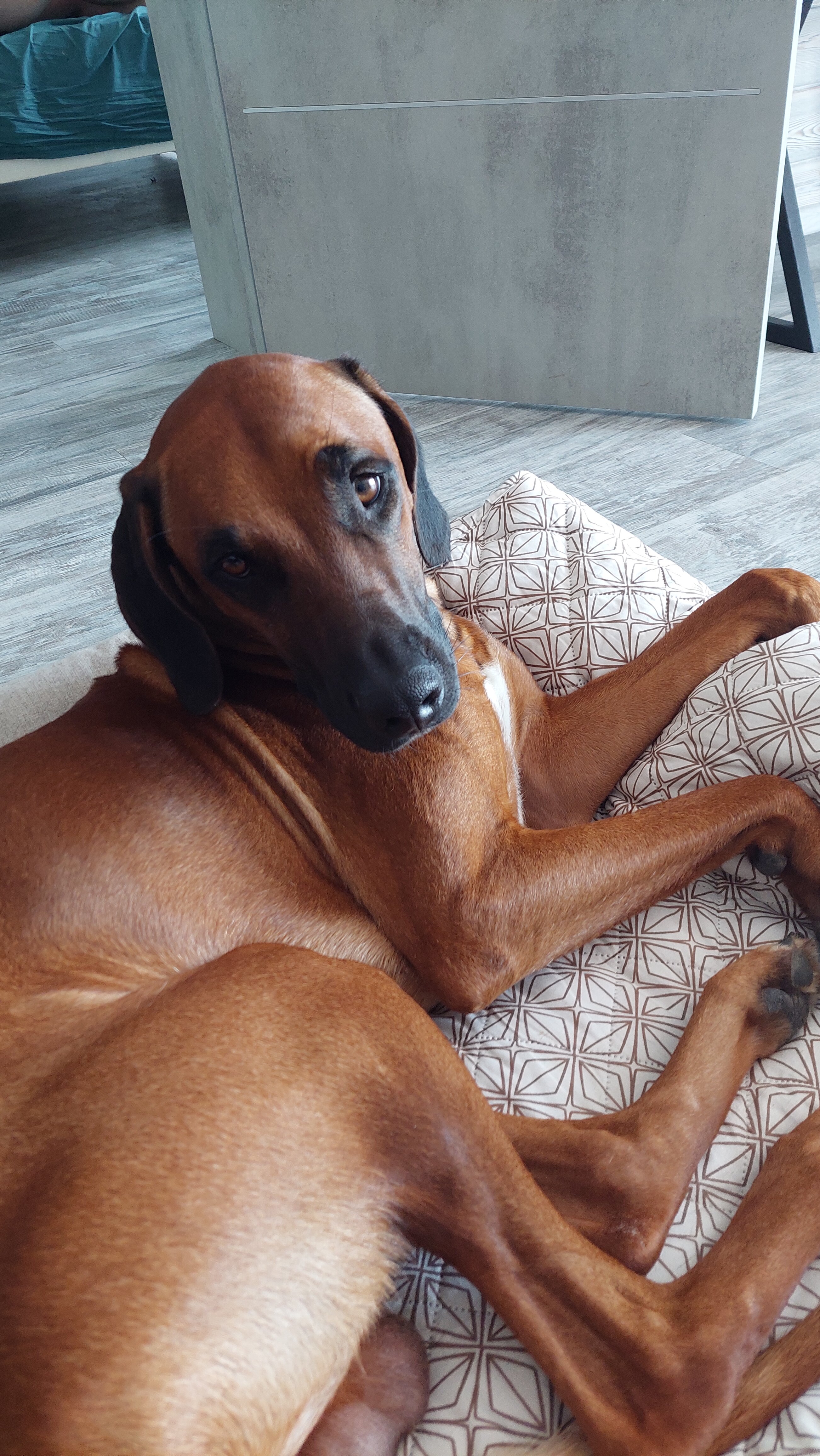 Фото Вирсавия