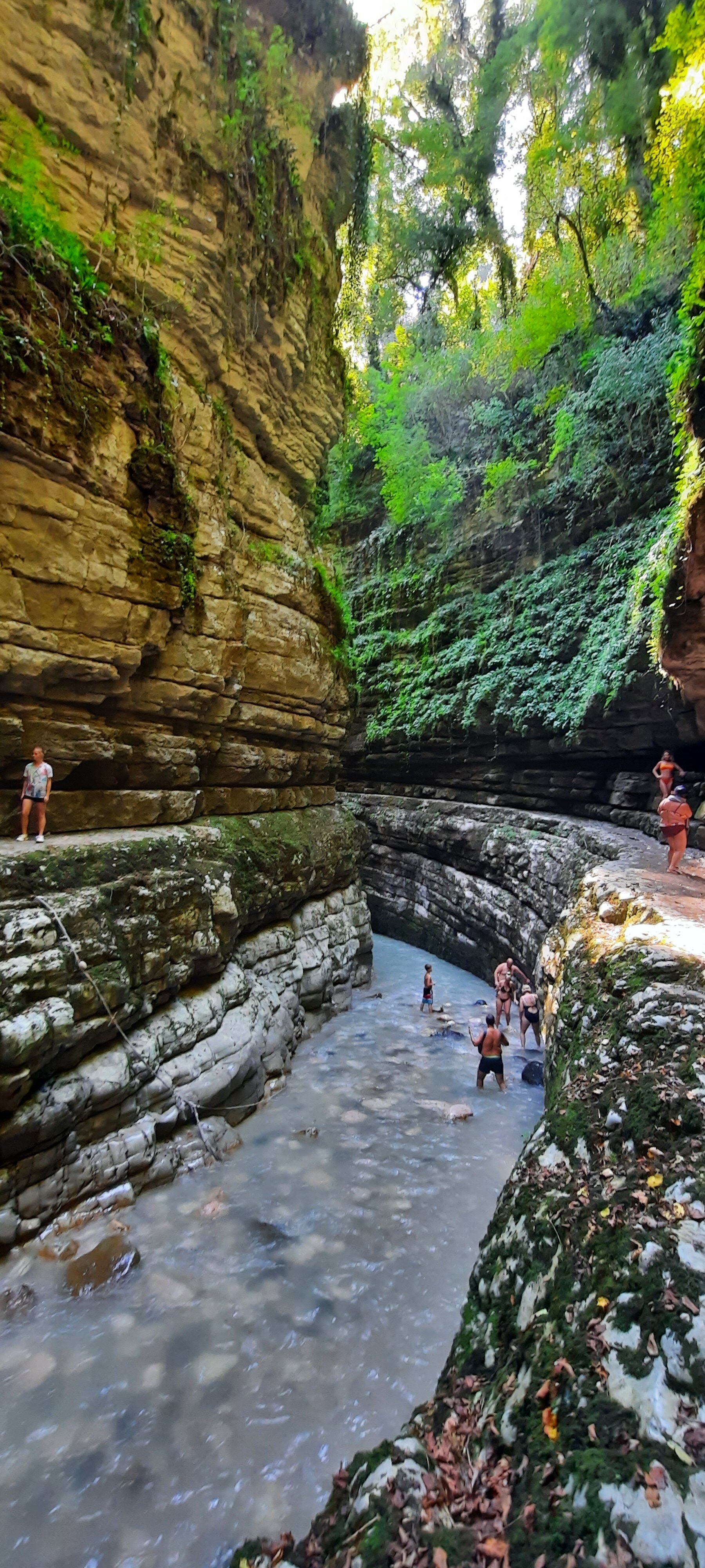 Фото Литфонд