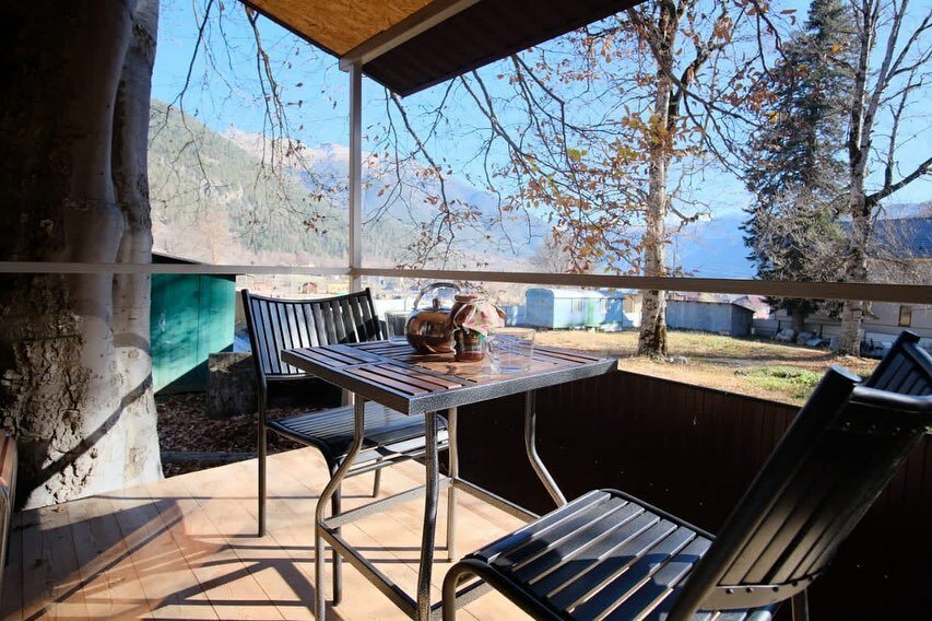 Фото Чинара