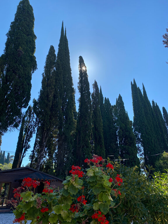 Фото Царское село Анхуа