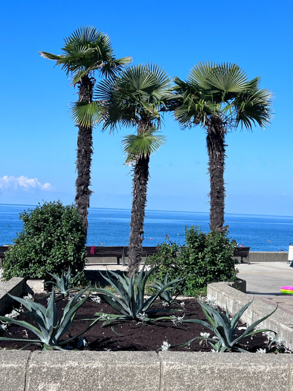 Фото Sochi Beach