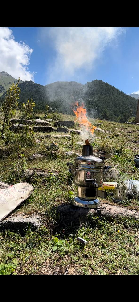 Фото Шафран