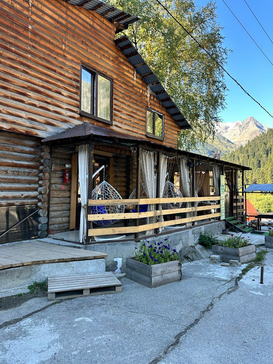 Фото Шафран