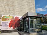 Мир цветов (Nizhnevartovsk, ulitsa Chapayeva, 53), seed shop