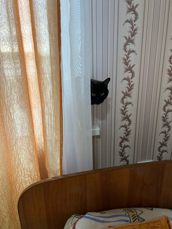 Фото У Ирины