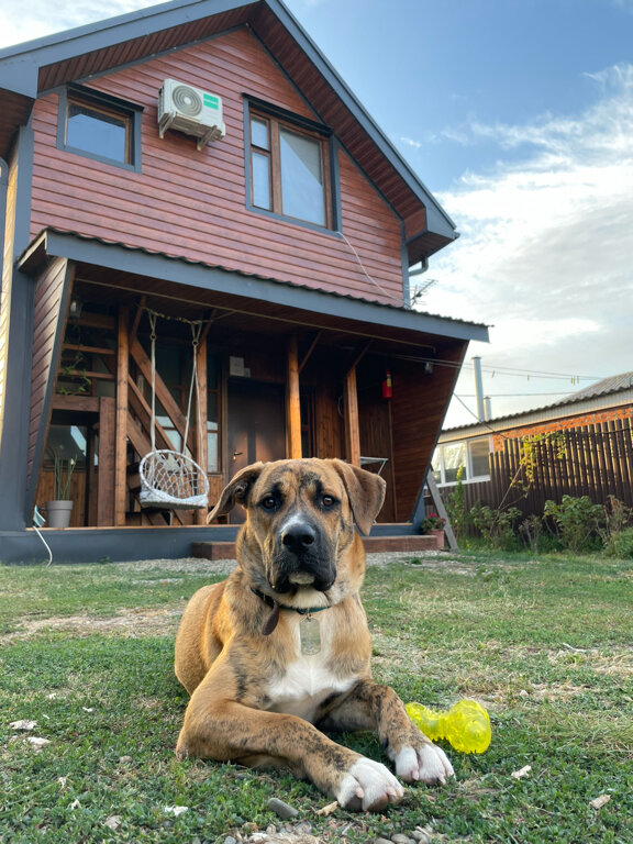 Фото III Берега