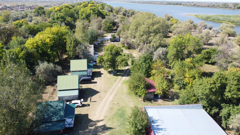 Фото Камышовый рай