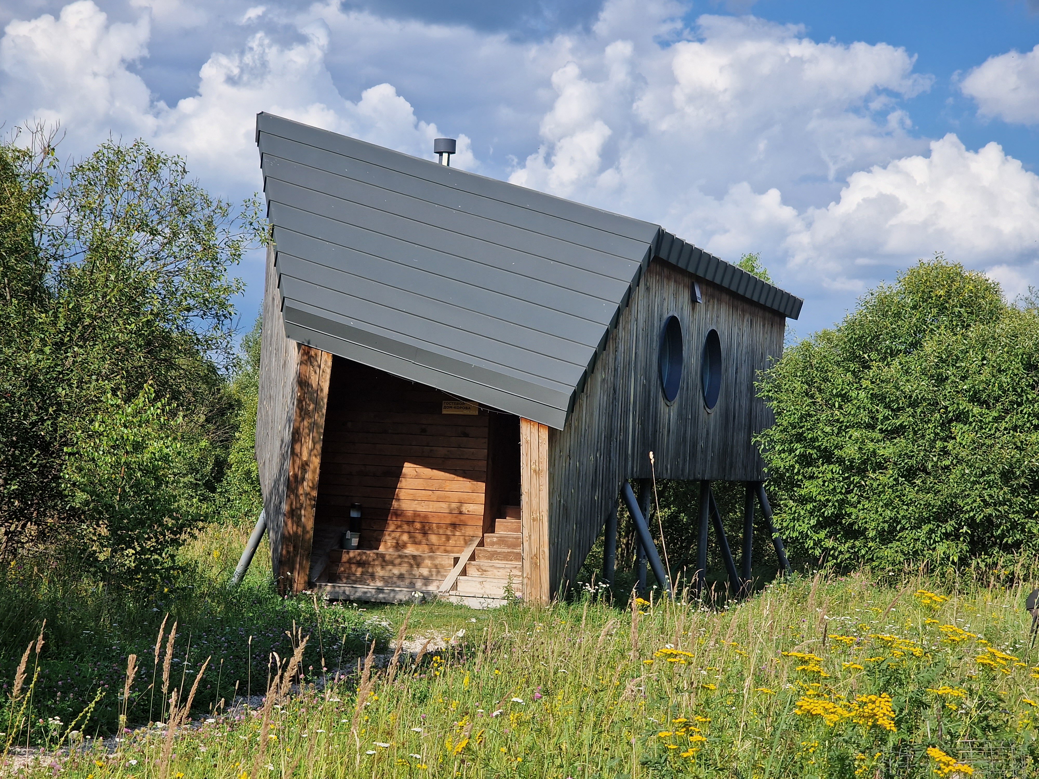 Фото Ясно Поле