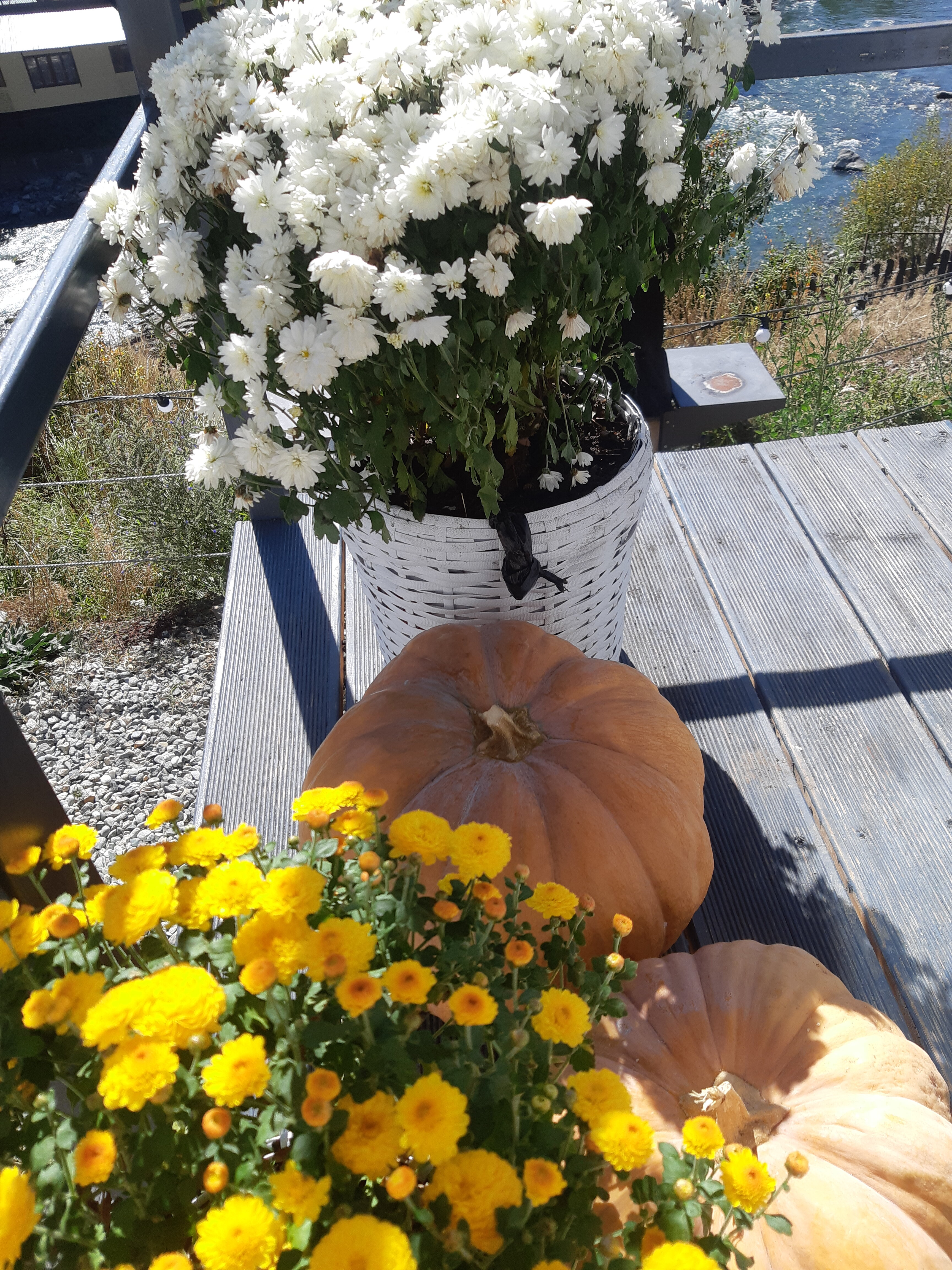 Фото Ривьера Архыз