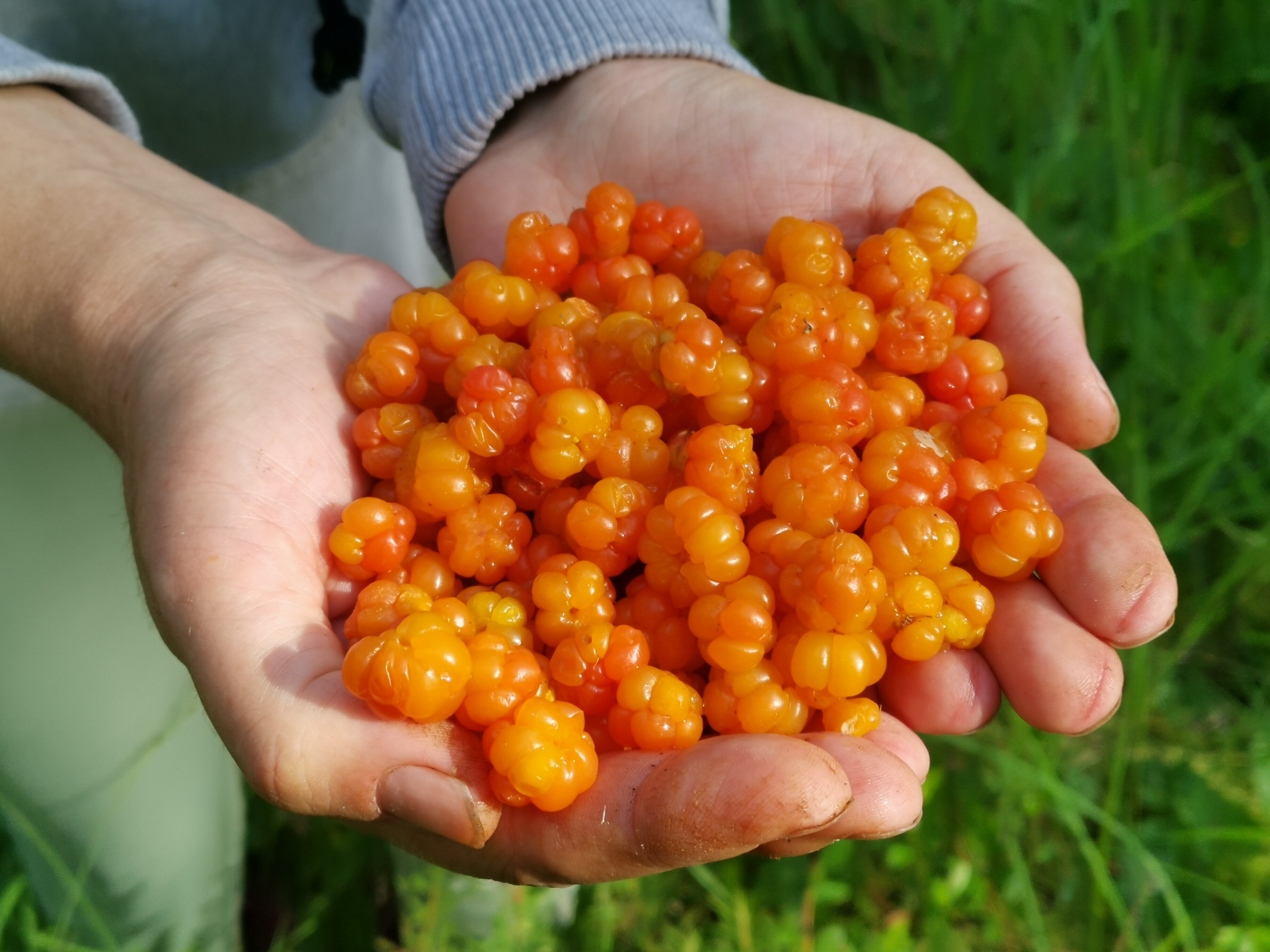 Фото Жемчужина Заонежья