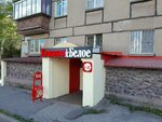 Krasnoe&Beloe (Gagarina Street, 57), tienda de productos