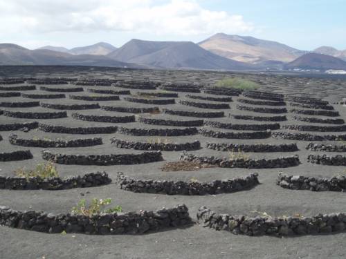 Фото Hotel Miramar