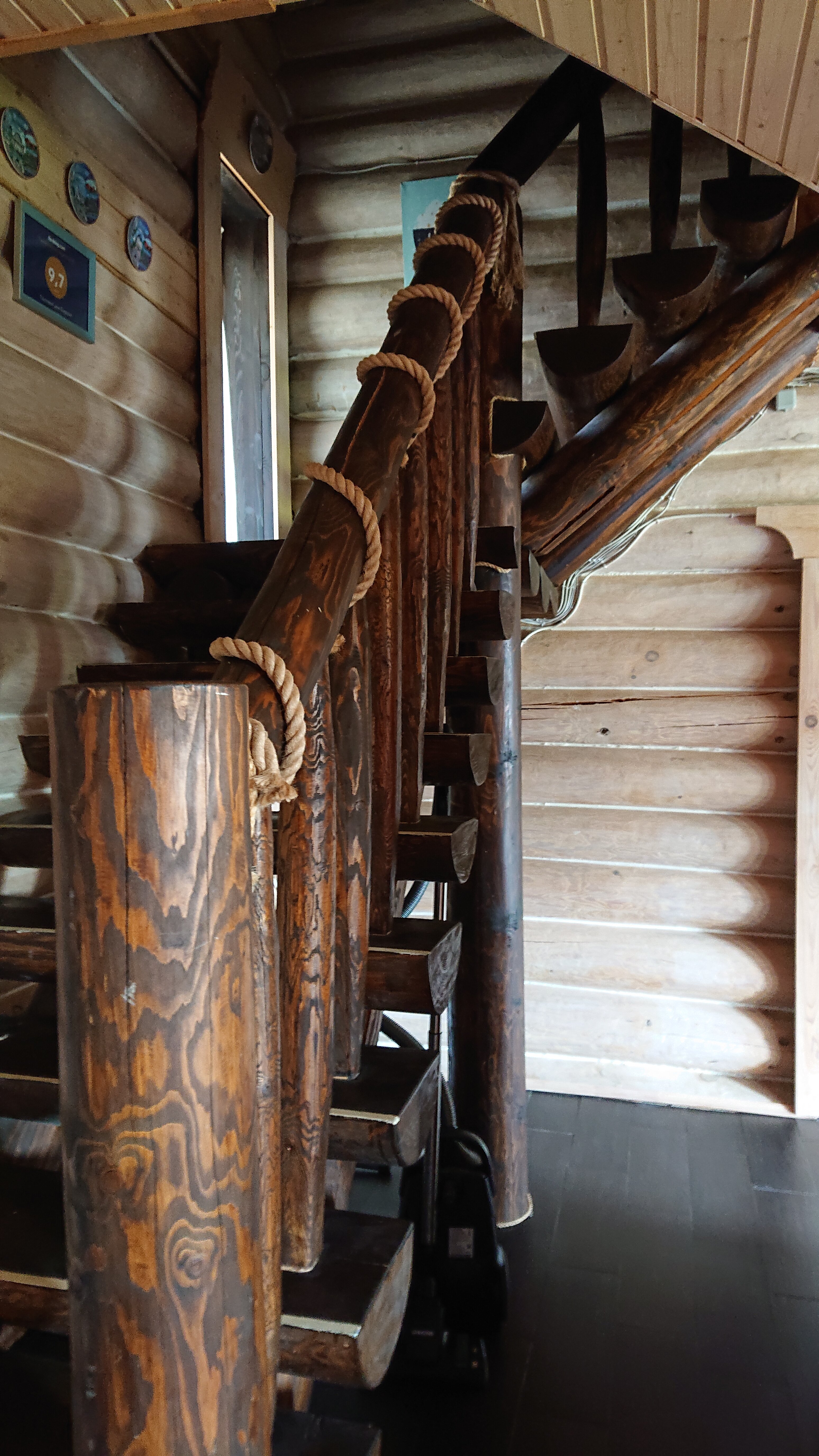 Фото Сорока