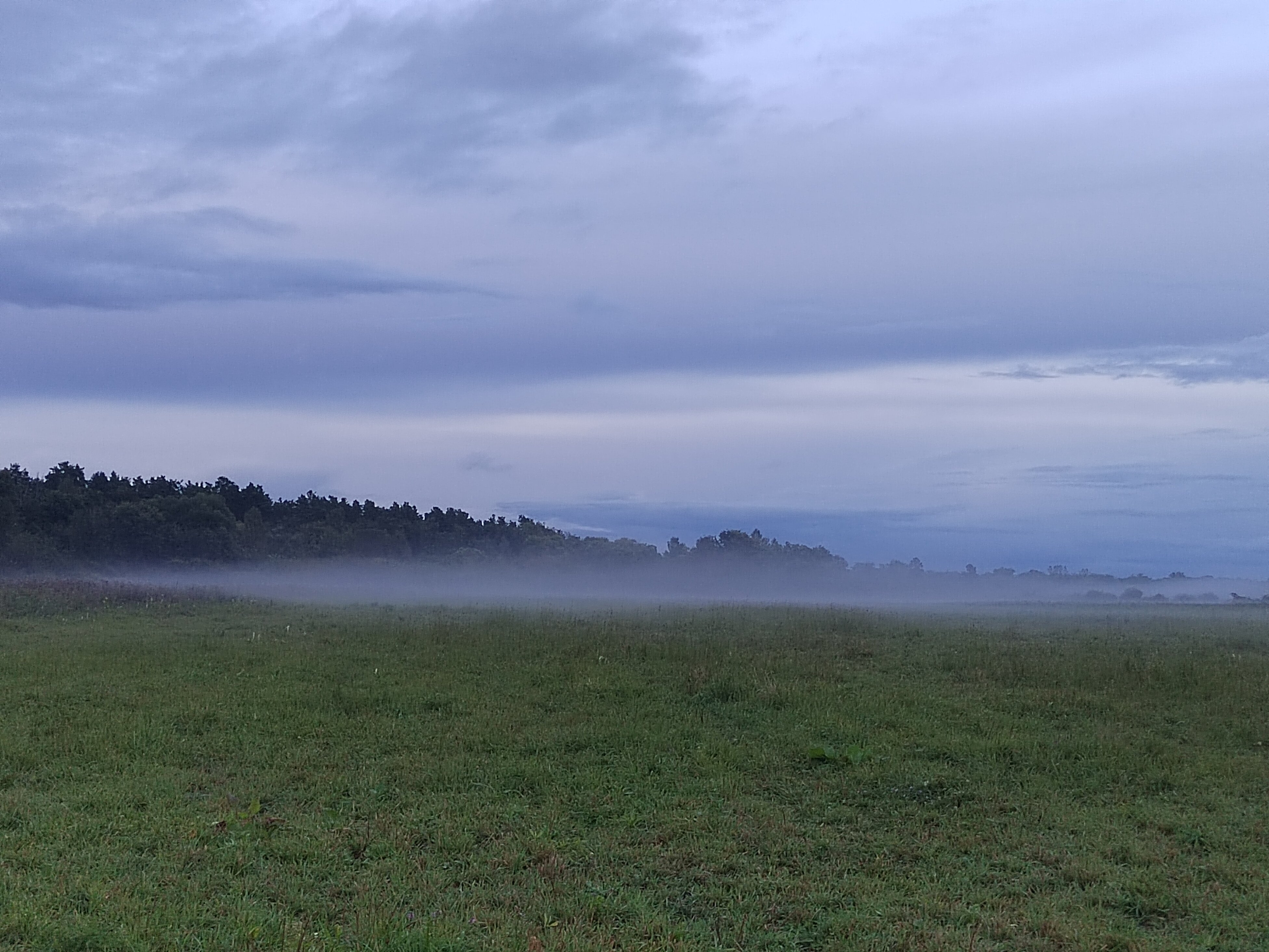 Фото Лесная дача