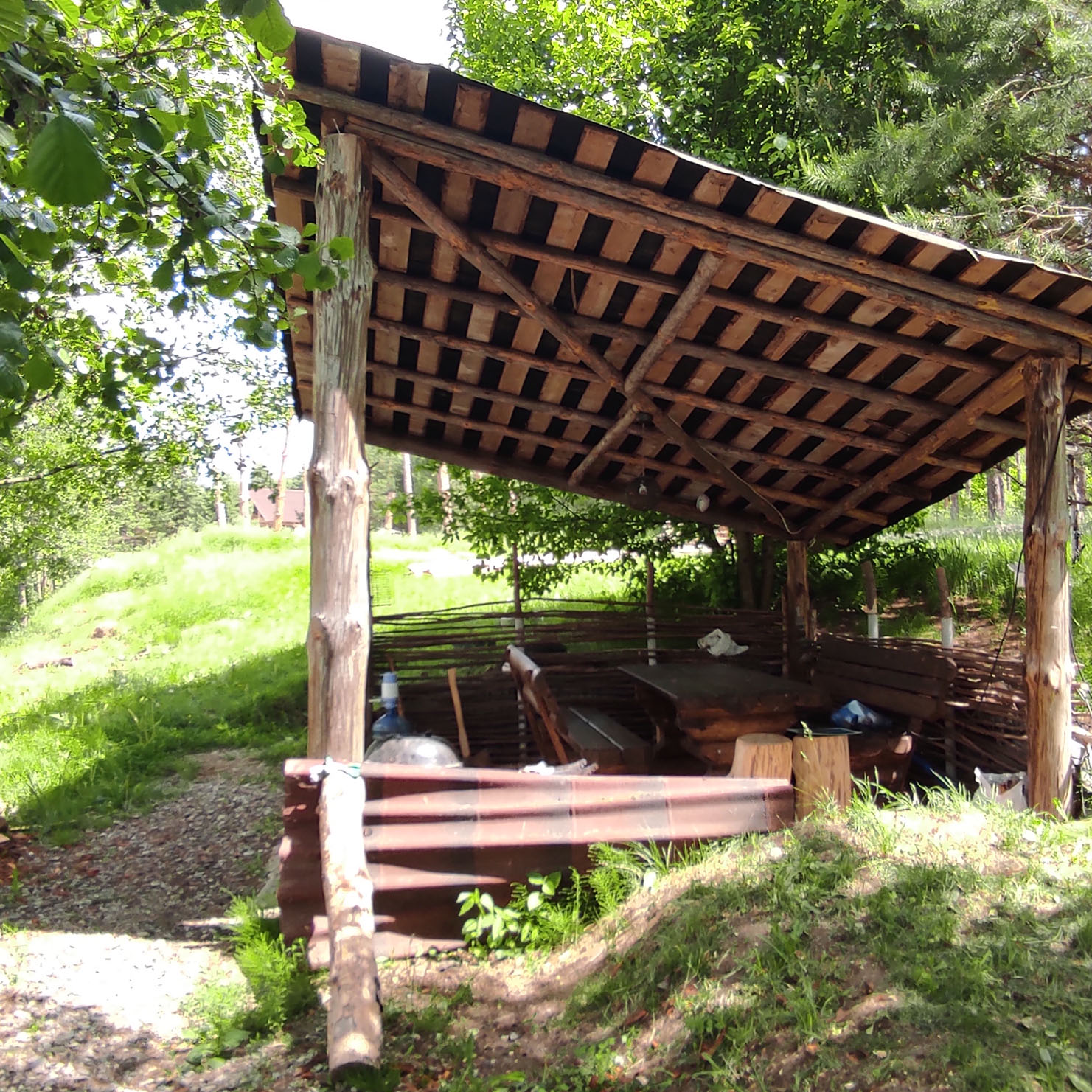 Фото Парк Чёшталей