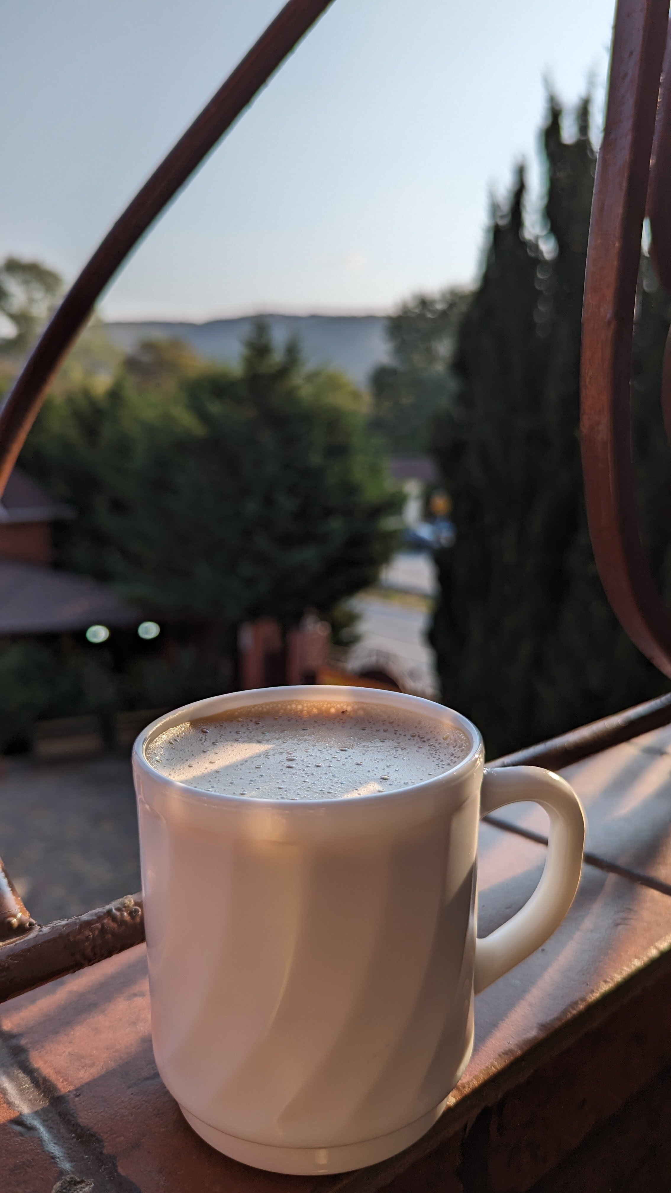 Фото Багира