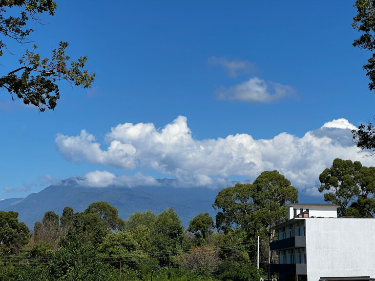 Фото Грандис