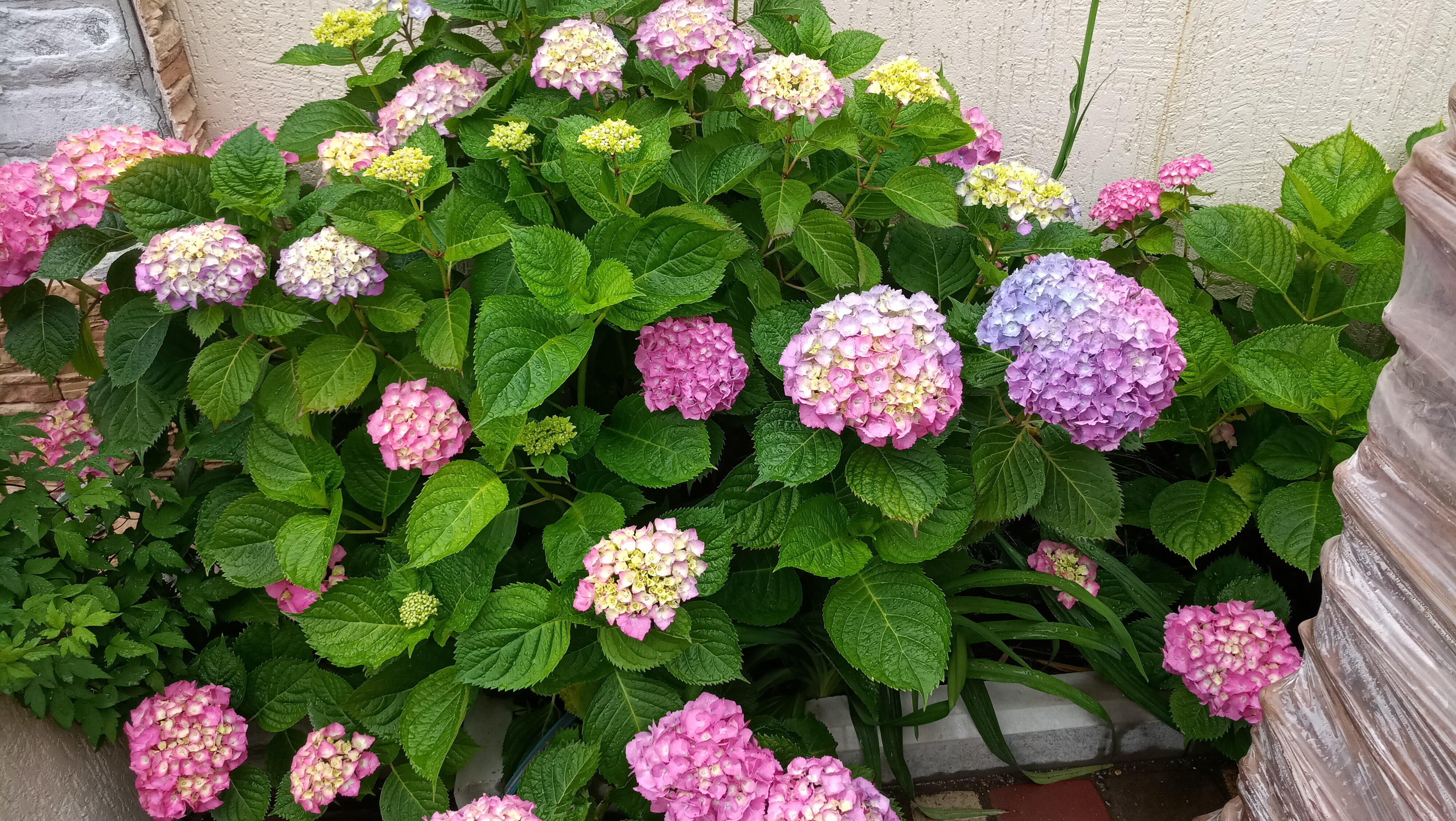 Фото Французский дом