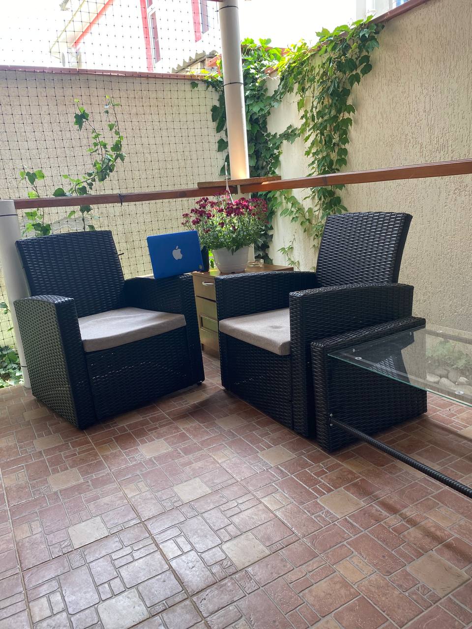 Фото Софита