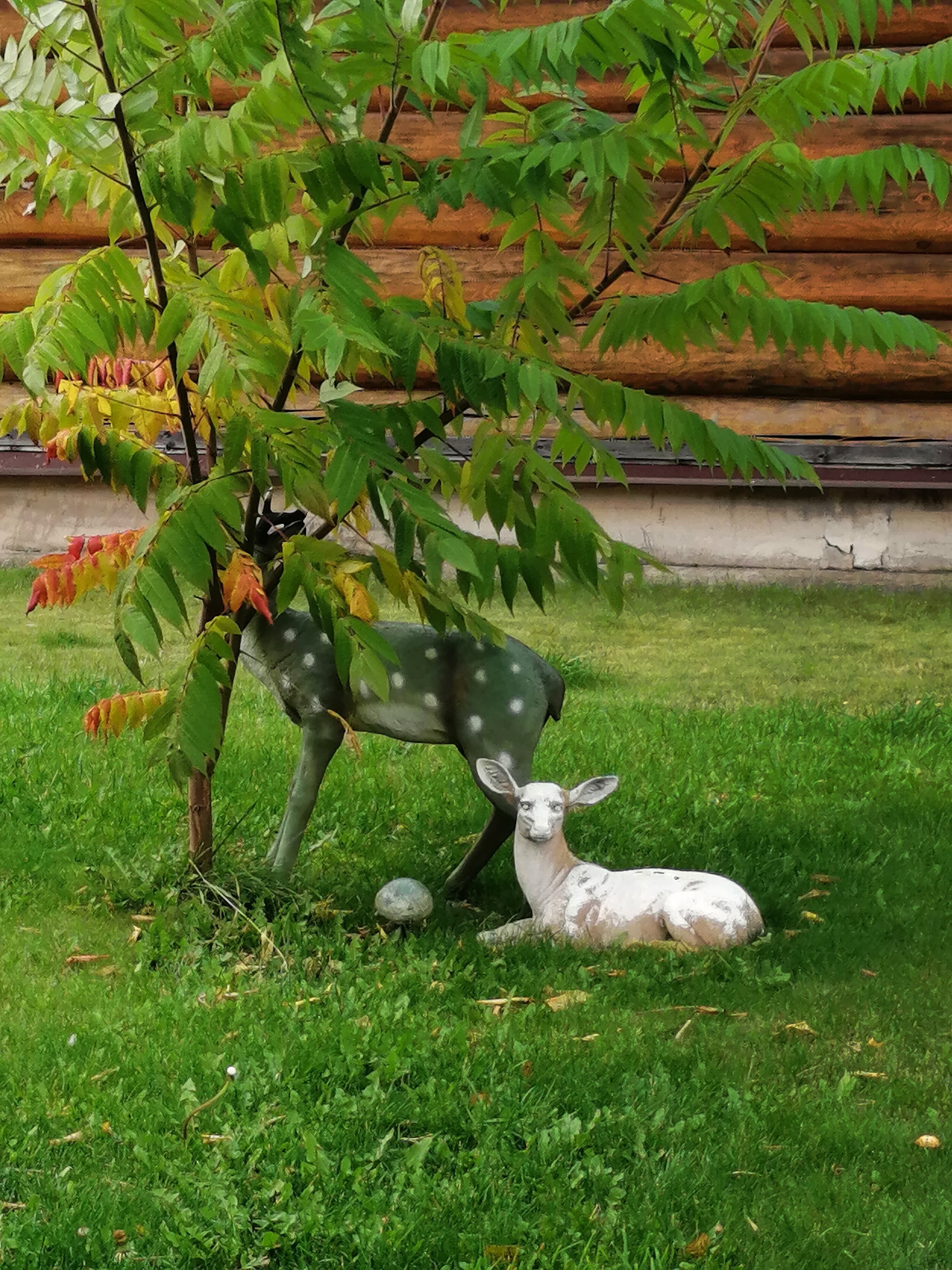 Фото Тимофеевская усадьба