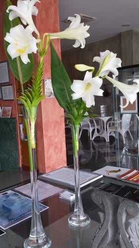 Фото Hotel Miramar