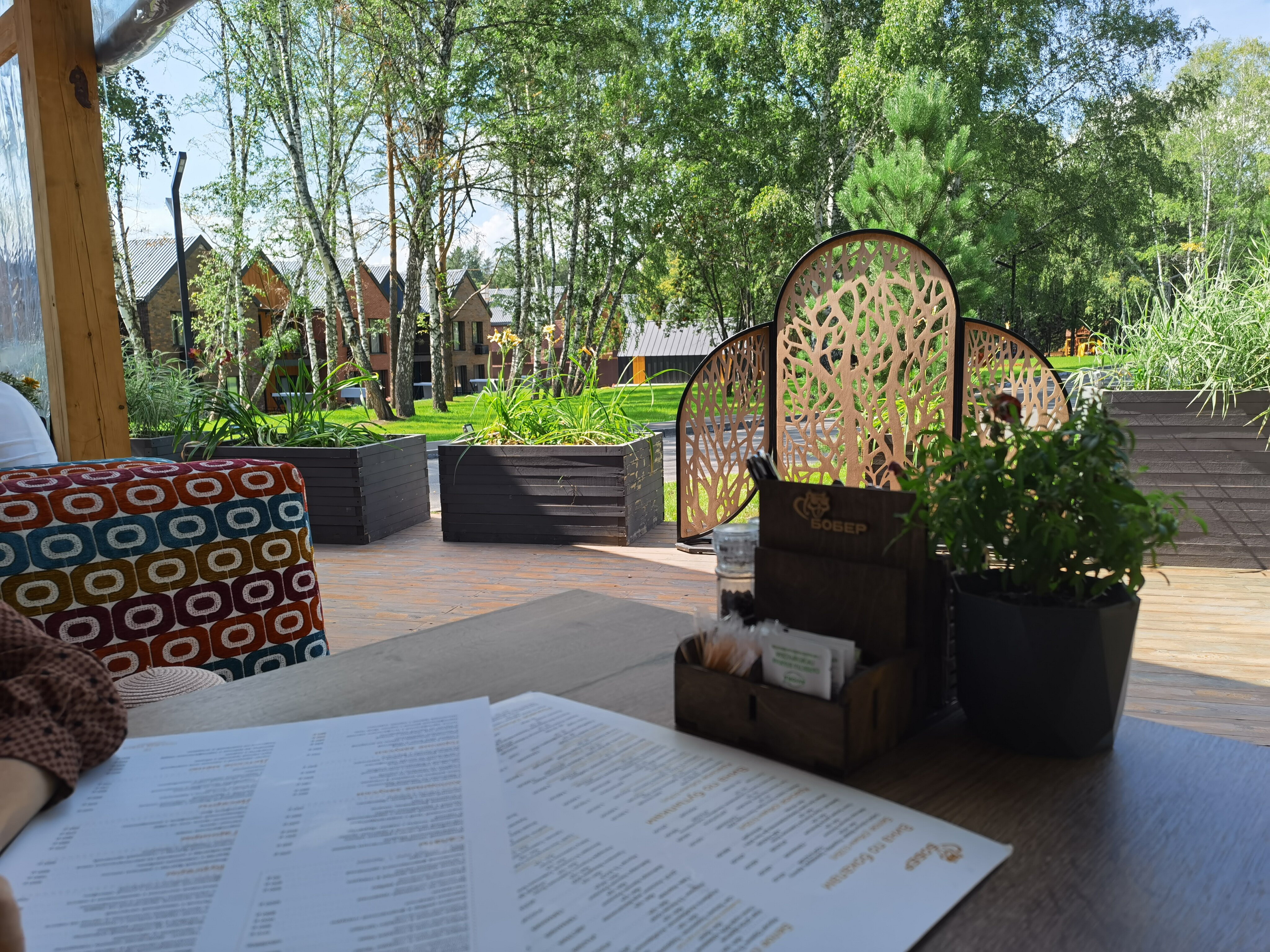 Фото Поляна Verde