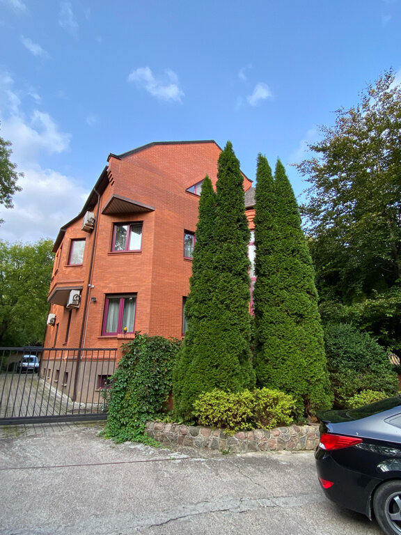 Фото Черепаха