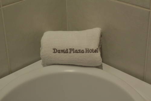 Фото David Plaza Hotel