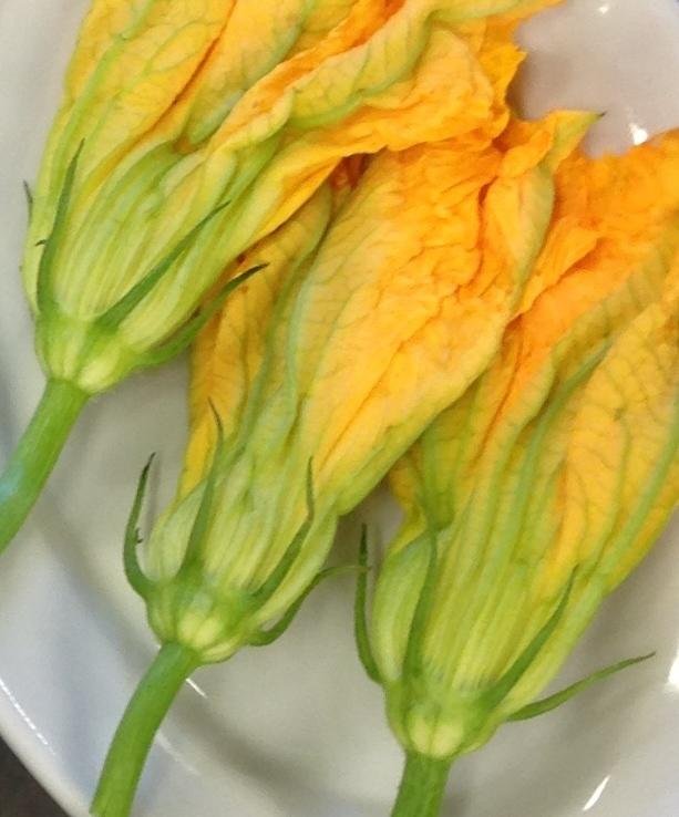 Фото Hotel Casa Yvorio