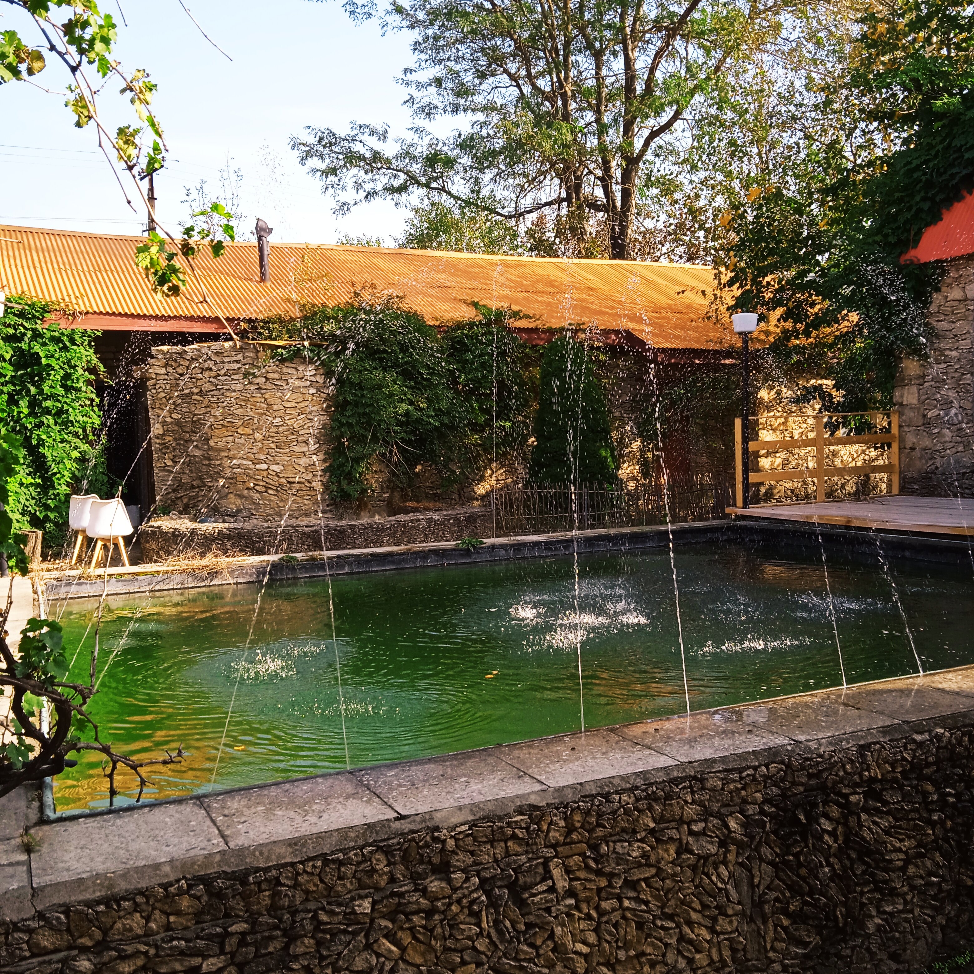 Фото Тихий пруд