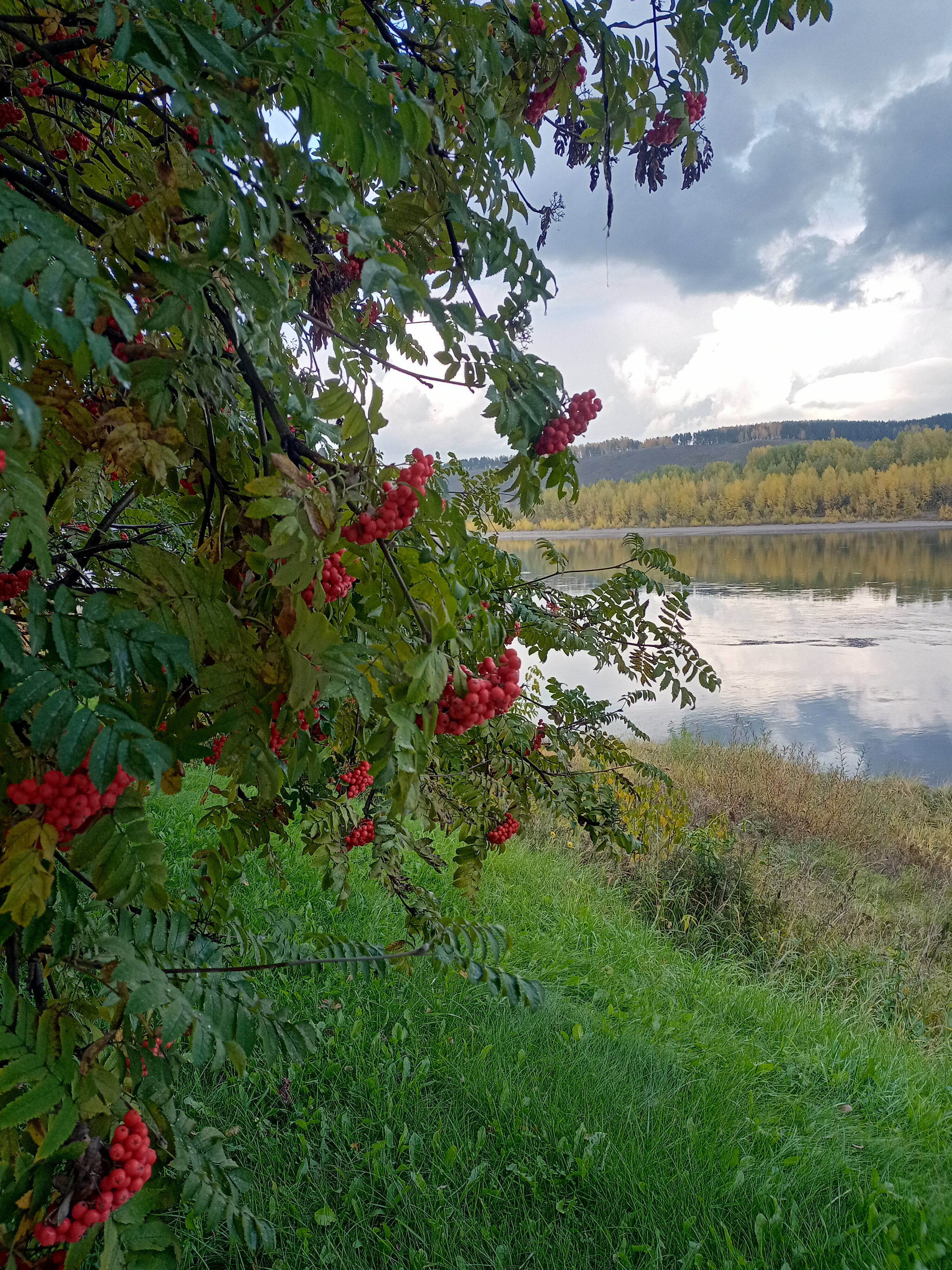Фото Притомье