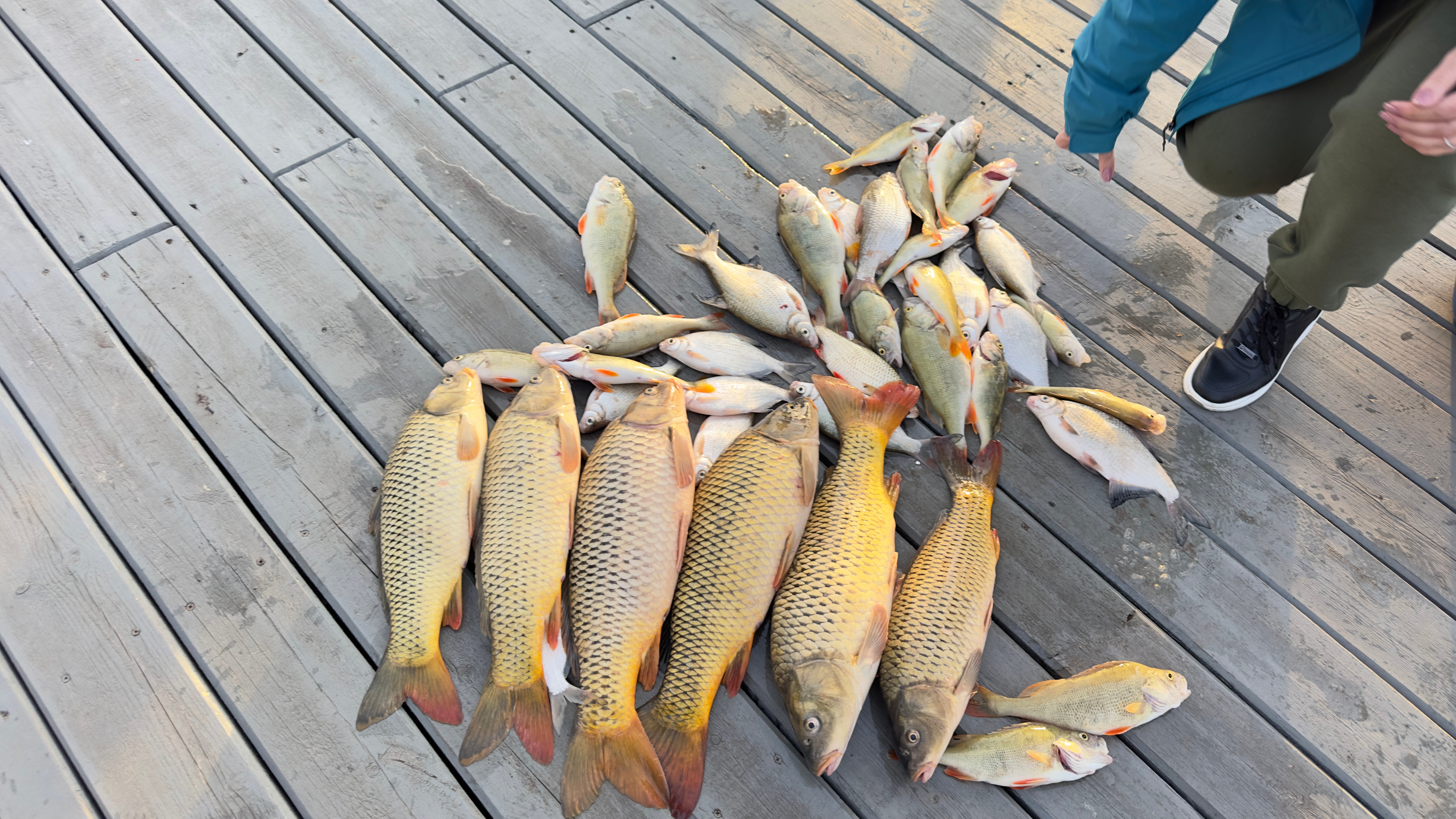 Фото Рыбзавод