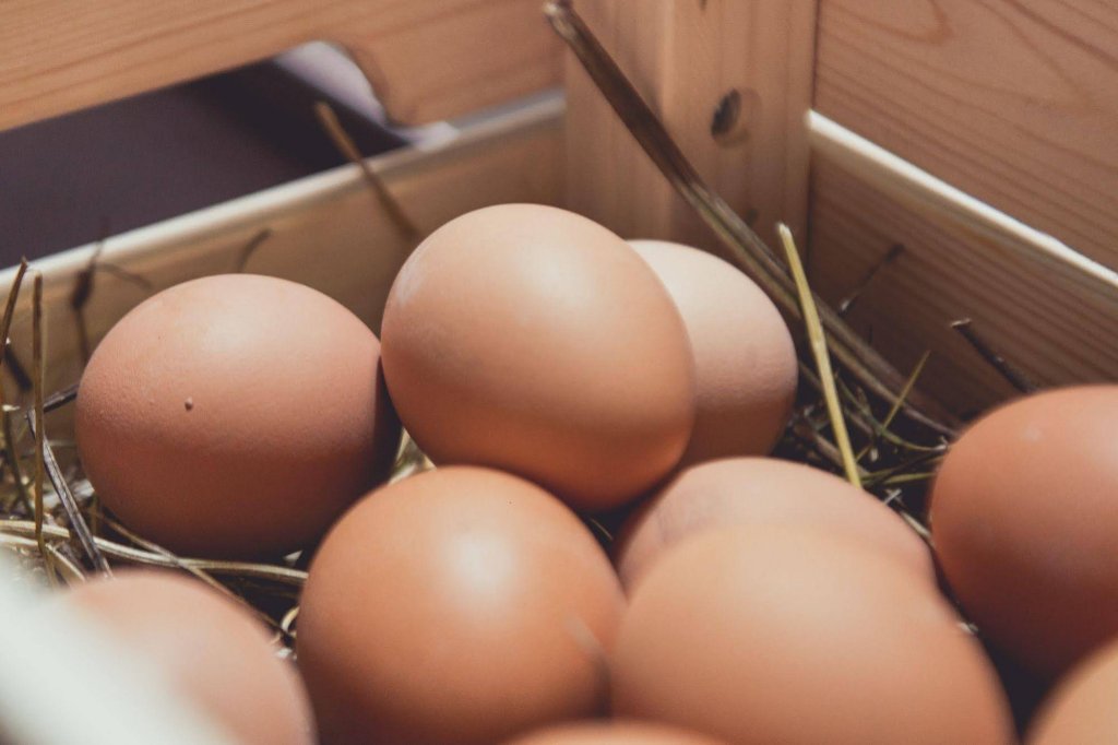 Фото Hotel Carpathia