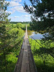 Подвесной мост через р. Быстрицу (munitsipalnoye obrazovaniye Kirov), área de pícnic