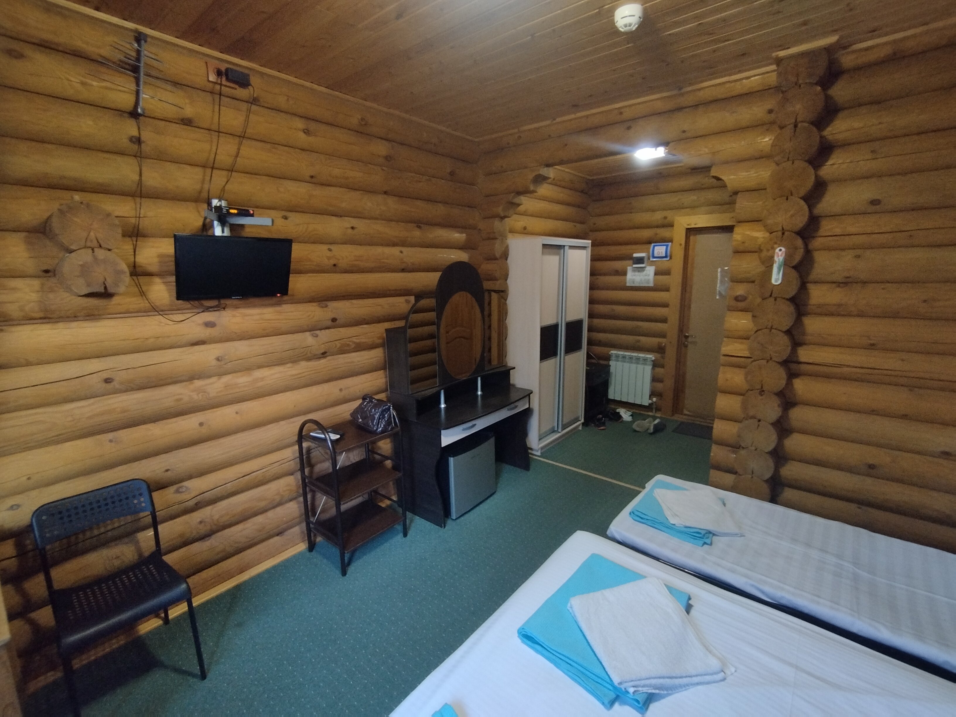 Фото Вербена