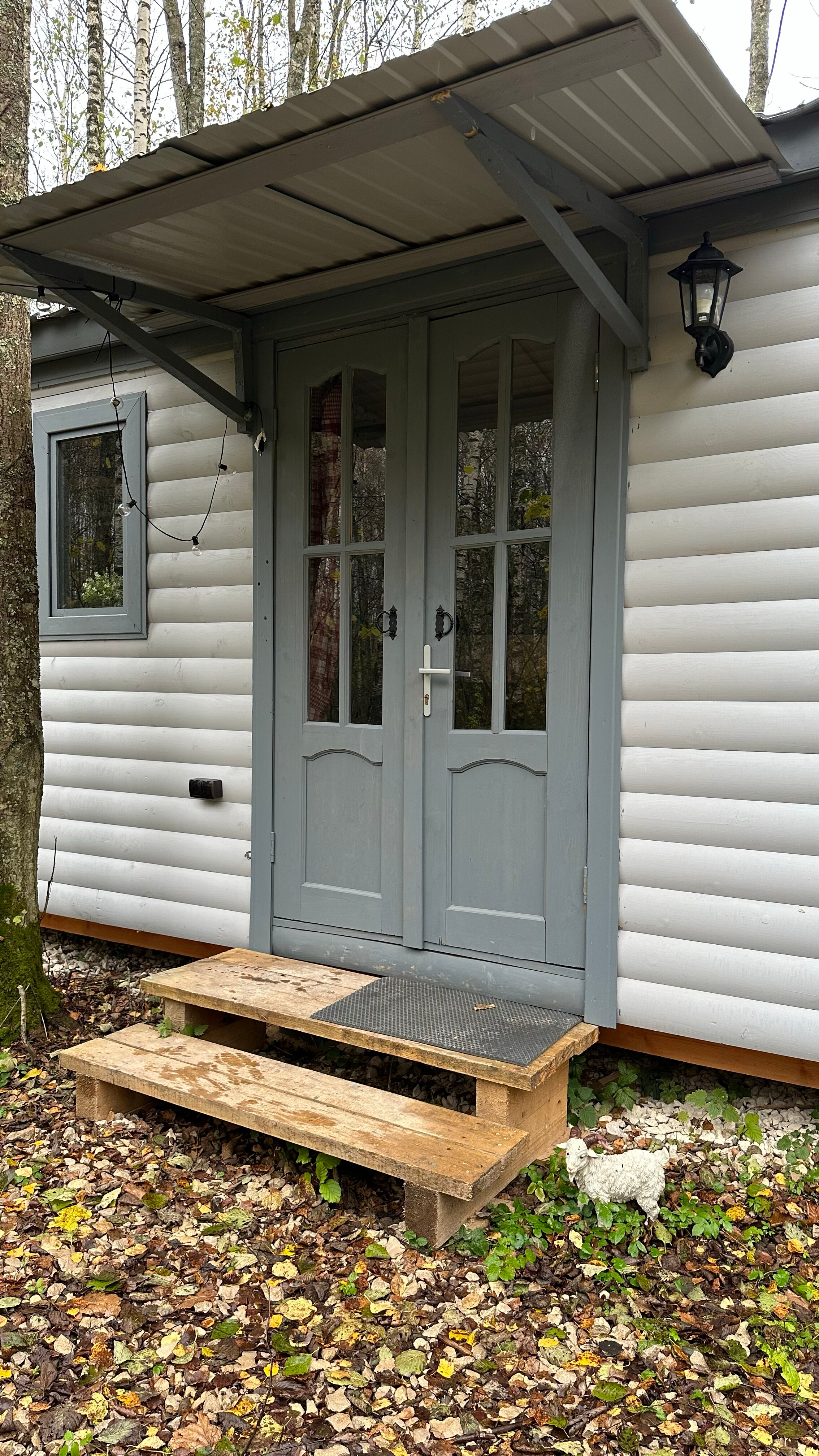 Фото Модная коза