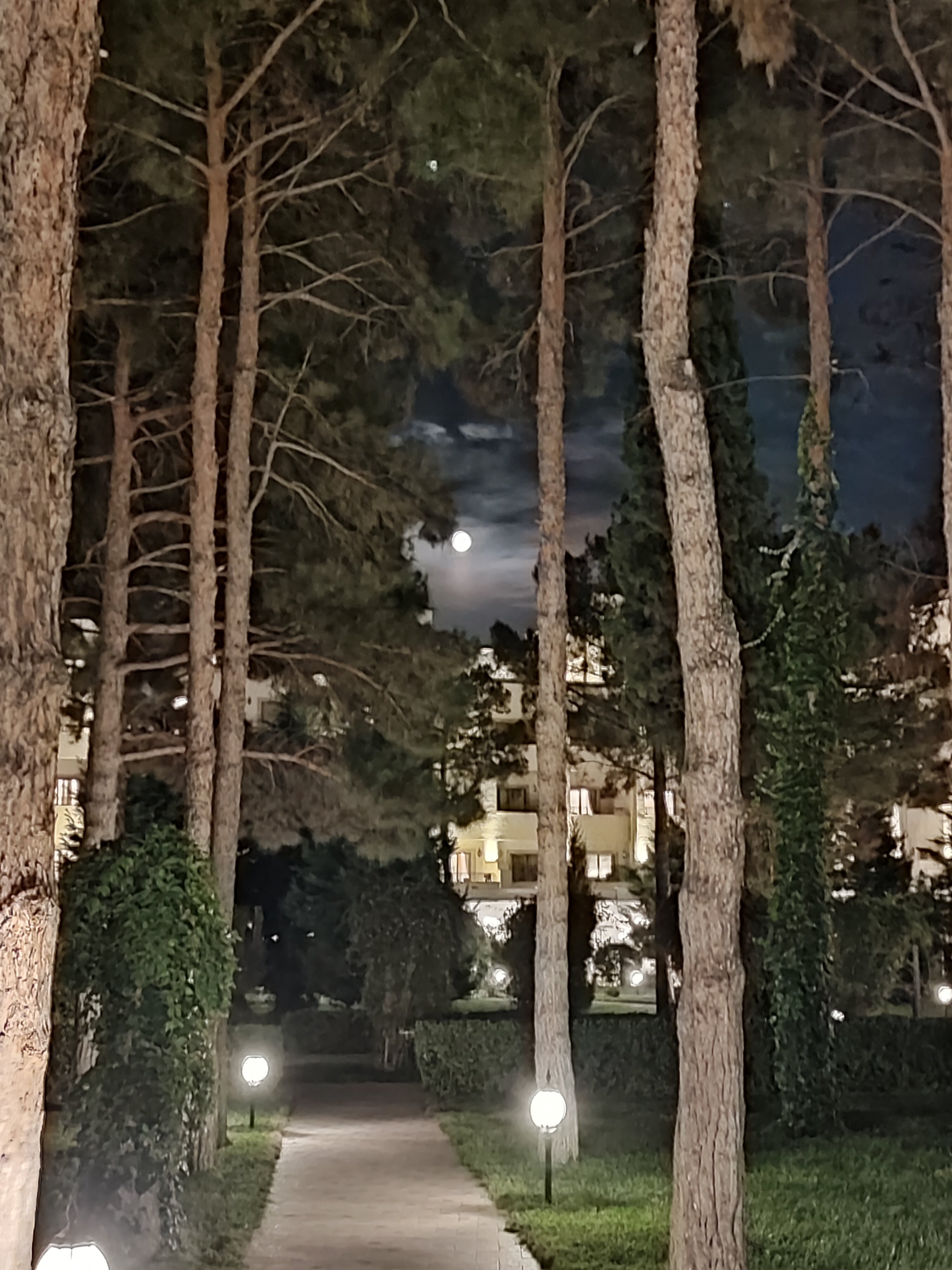 Фото Garabagh Resort & SPA