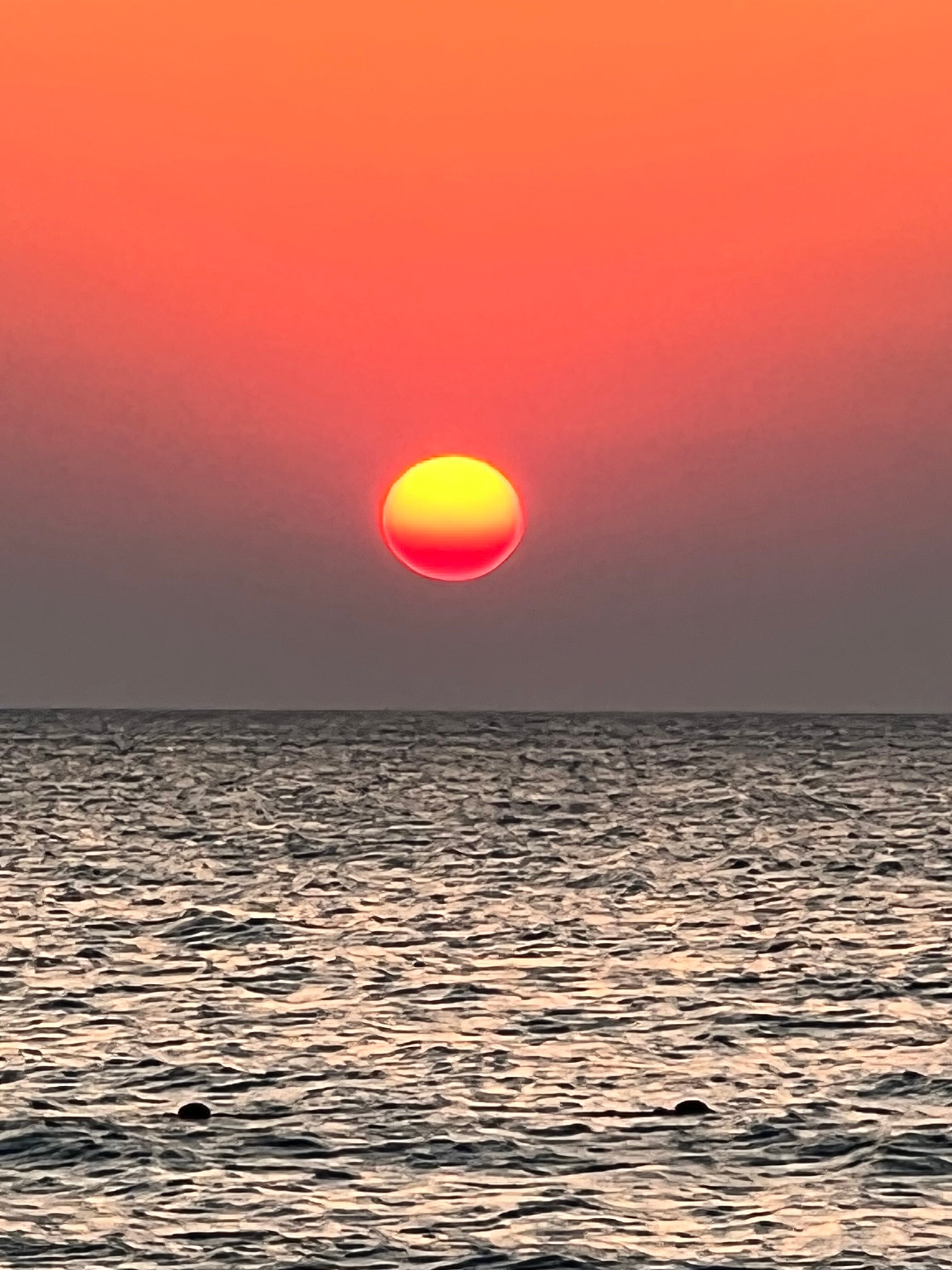 Фото Mahdia Palace Thalasso