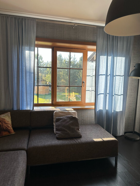 Фото Снежные Гуси