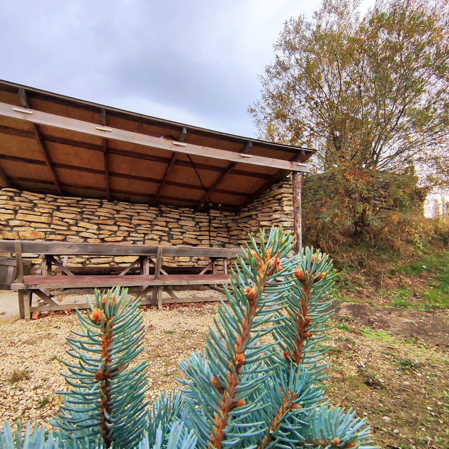 Фото Зеленогорье крепость Яръ