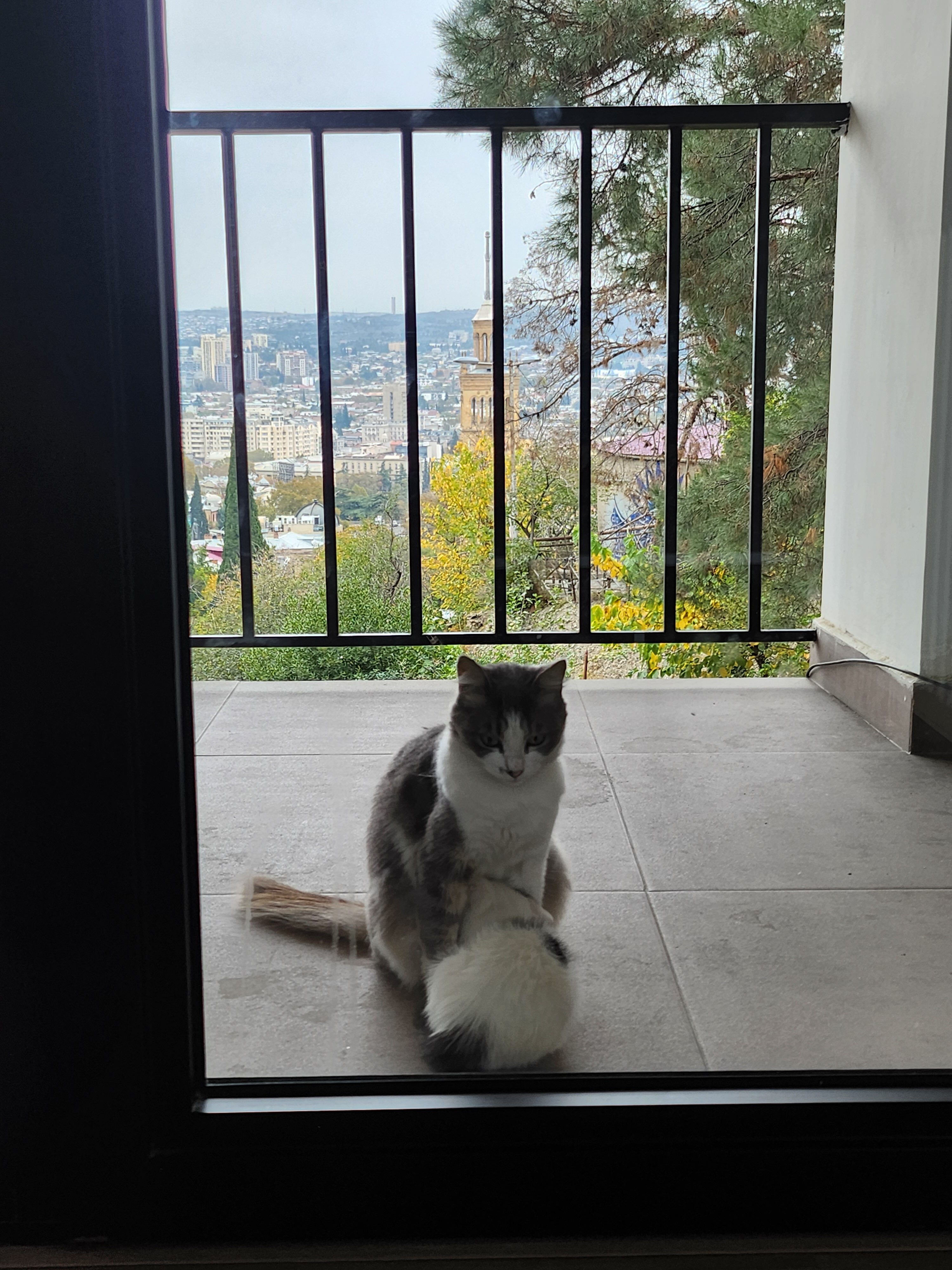 Фото Tbilisi View Hotel