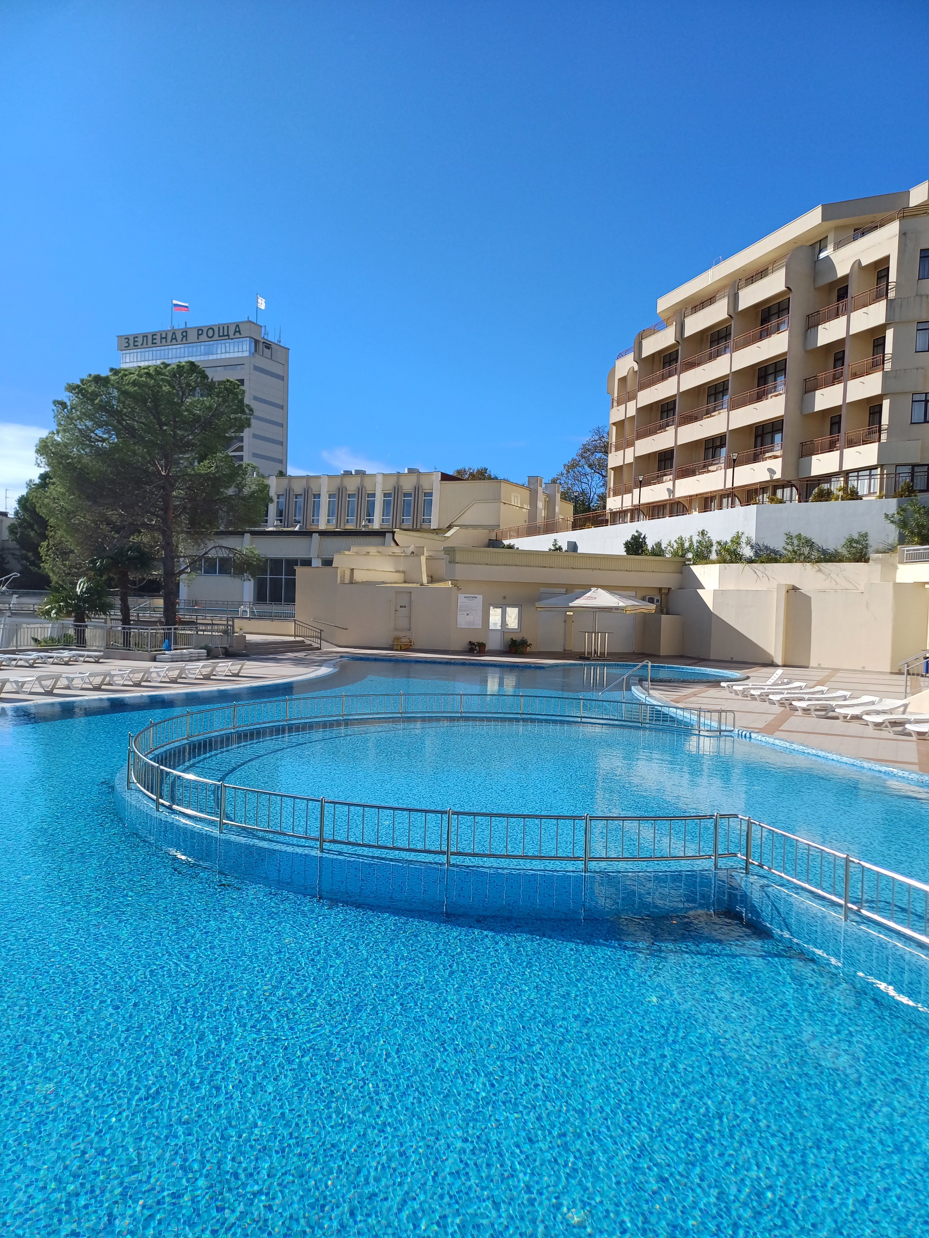 Фото Зелёная роща