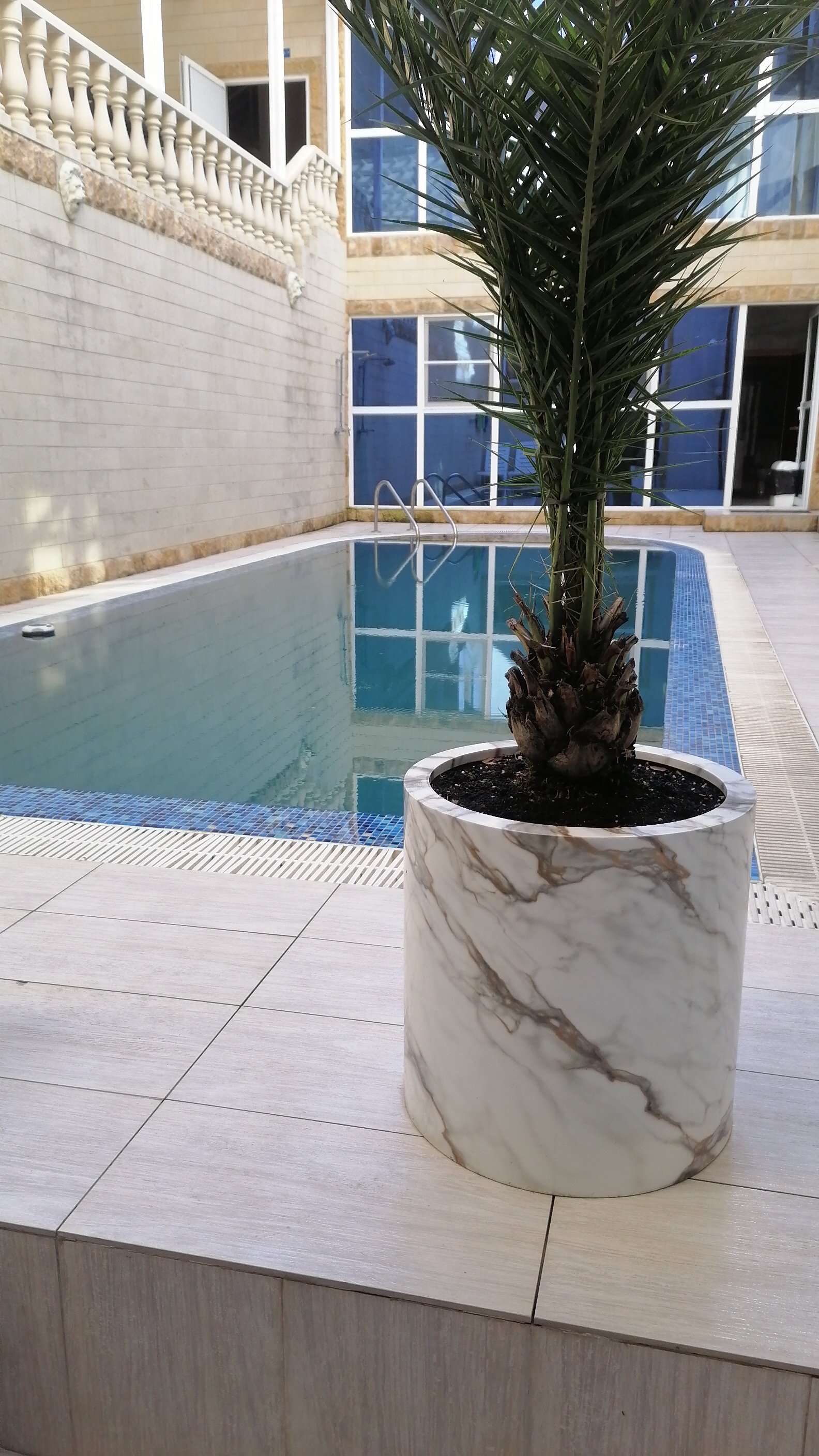 Фото Белый Парус