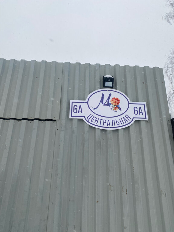 Фото Морошка