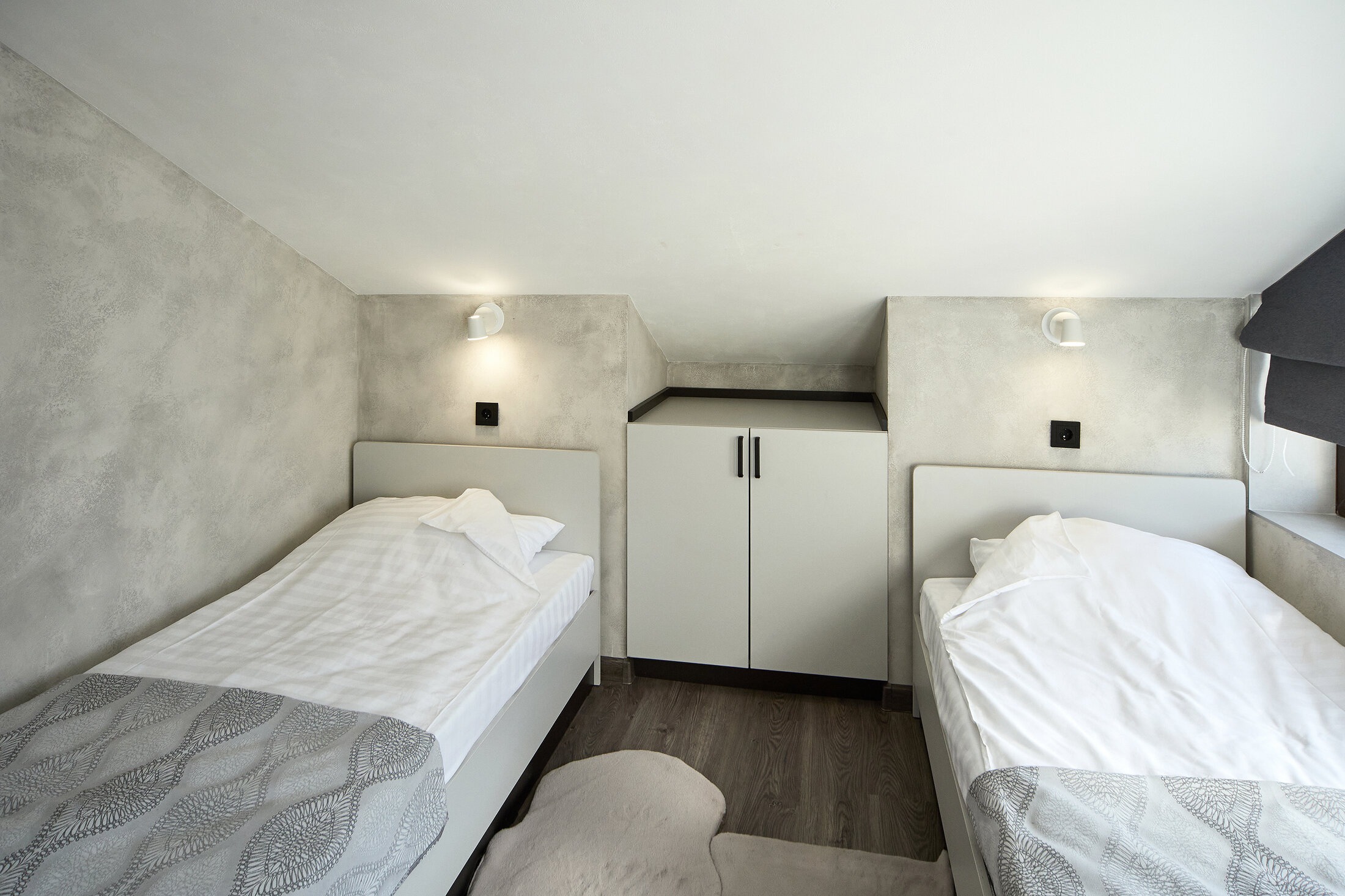 Фото Иркутский кедр