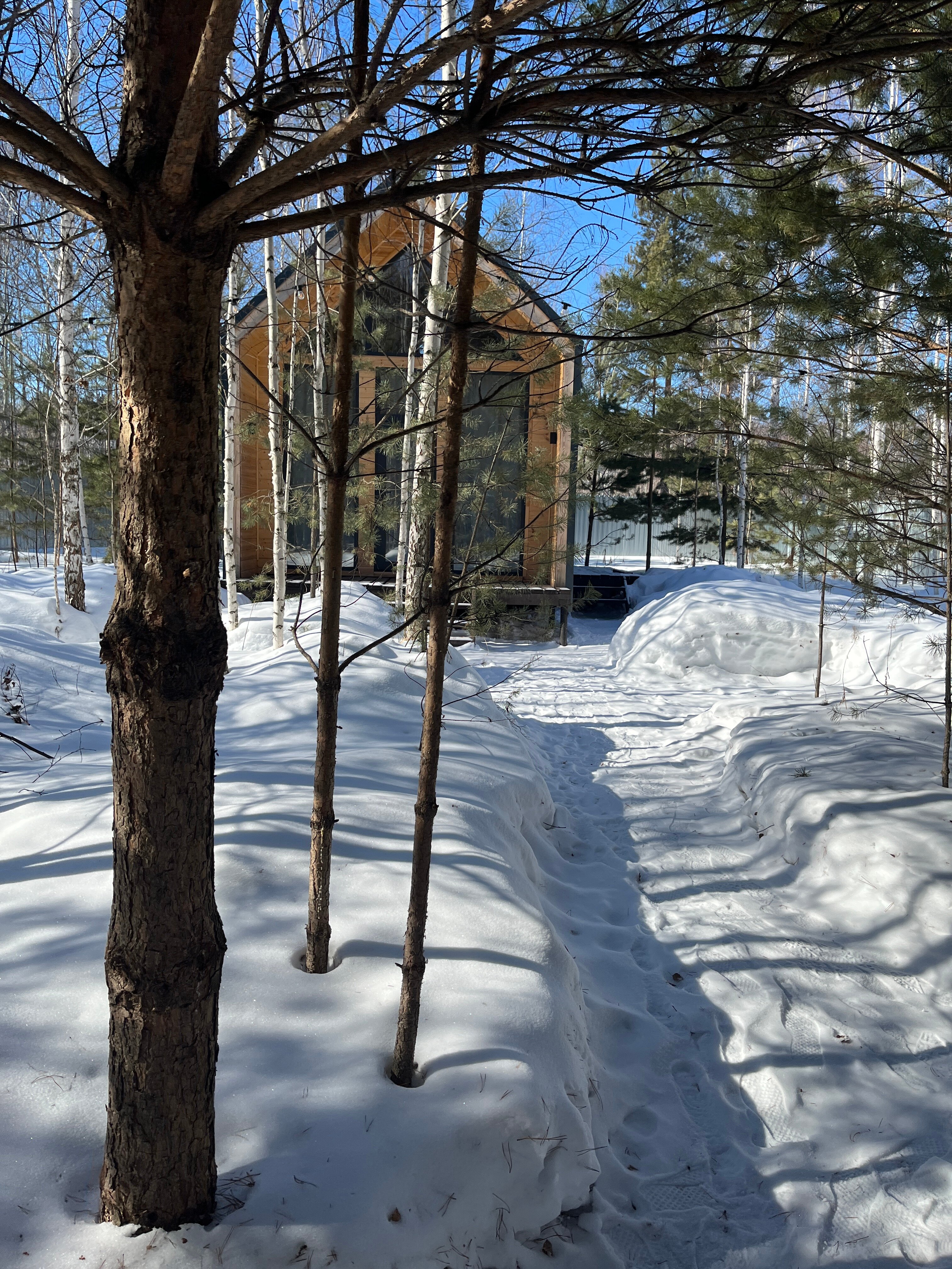 Фото Форест Барн