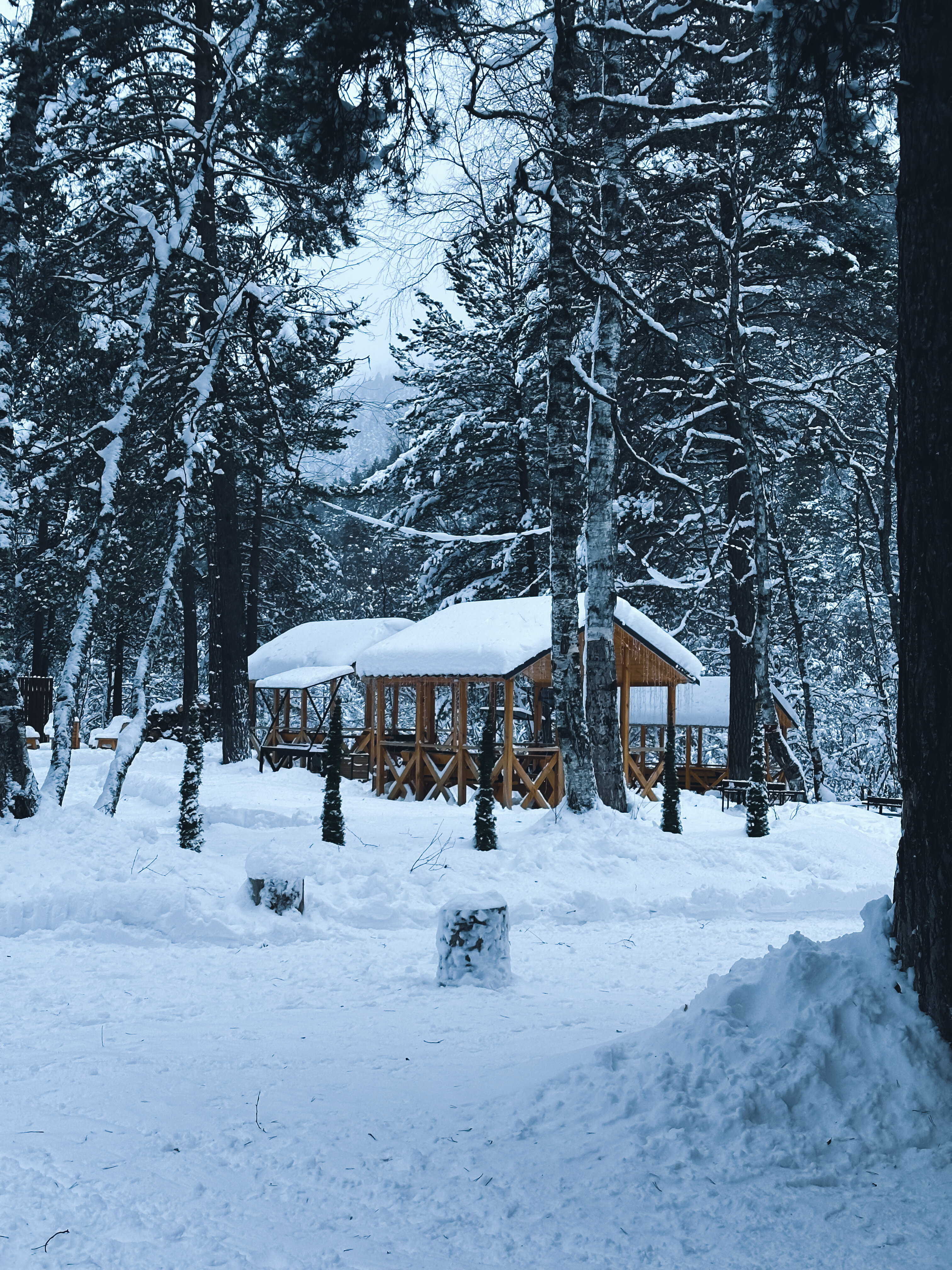 Фото Шале Хвоя