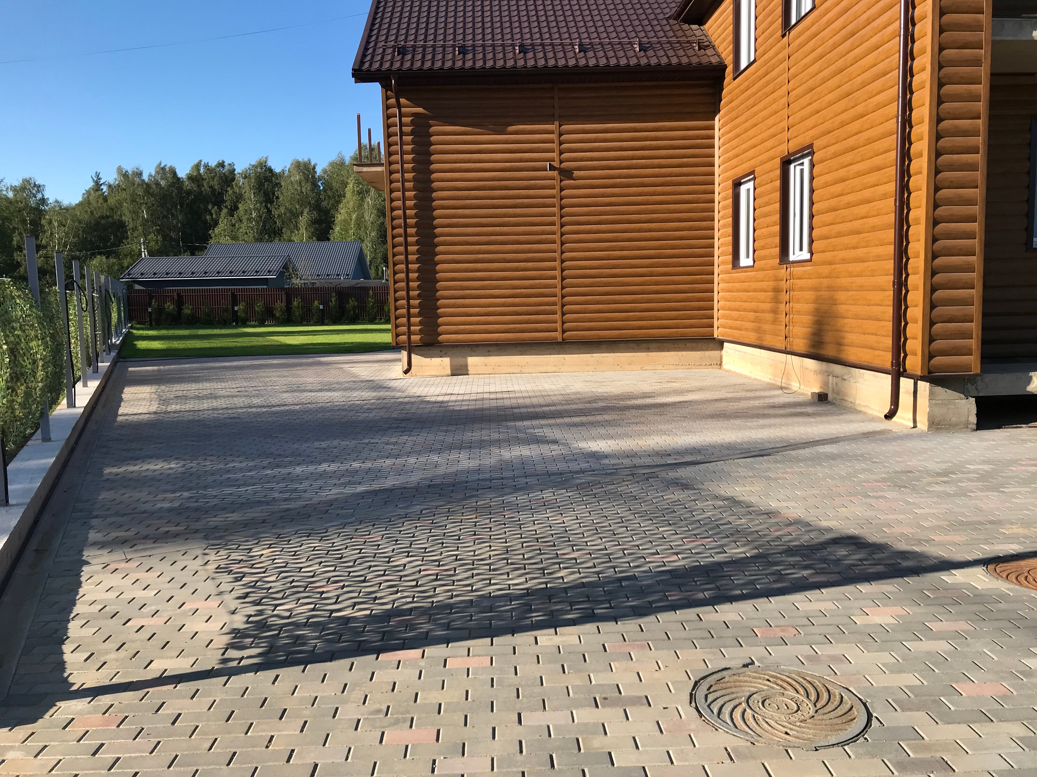 Фото Дельфин