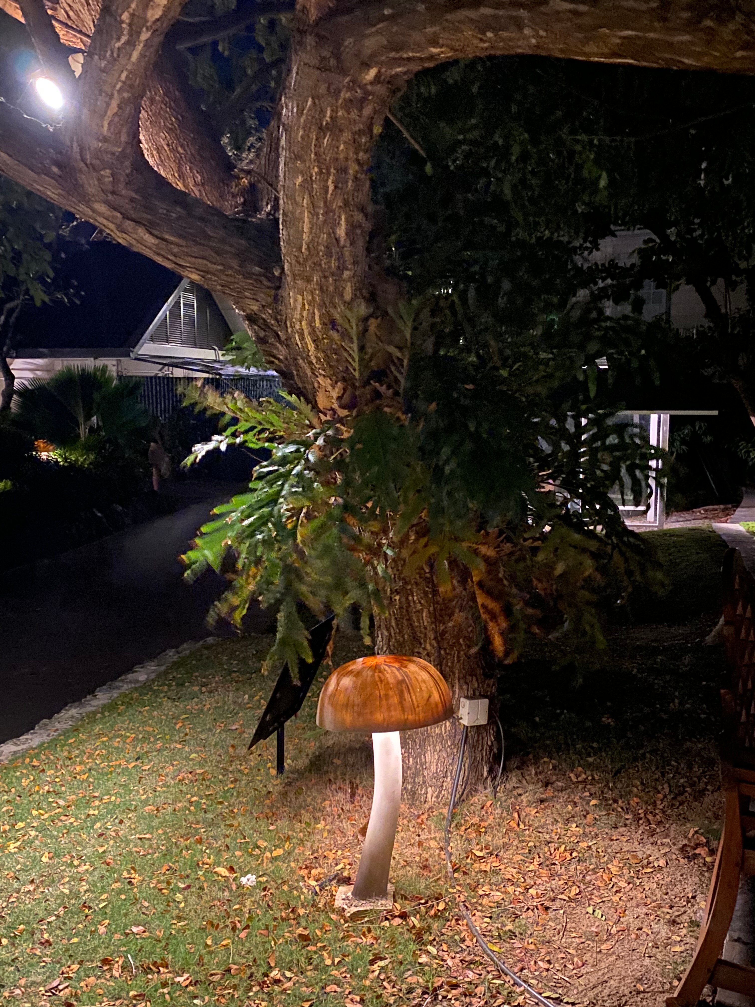 Фото Plantation Bay Resort and SPA